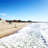 тур по знаменитым пляжам Калифорнии. California Beach Cities Day Trip from Los Angeles: Long Beach, Huntington Beach, Venice Beach and Santa Monica Buy Online!