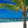      -  -,       -        - Key West Sail and Snorkel Trip from Miami Buy Online! (  )