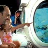     -         . Oahu Atlantis Submarine Adventure Tour Buy Online!