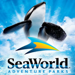 Купить онлайн электронные билеты в Парки водных развлечений 'Морской мир' и 'Акватика' в Орландо, Флорида, на 14 дней! SeaWorld Adventure + Aquatica Park Orlando - e-Tickets Buy Online!