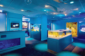  'Ritz-Carlton Naples Beach Resort' (    ) 5*+, ,  , .   Nature's Wonders Center.