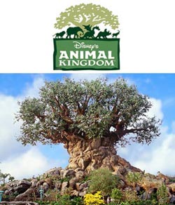 Animal Kingdom ( ) -     ,      