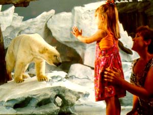 Аквариум Wild Arctic, где можно увидеть животных Арктики (белых медведей, моржей и др.)(Сан-Диего, штат Калифорния, США)