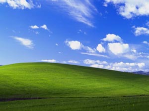 Изумрудные холмы Долины Напа (Napa Valley), Калифорния, можно видеть на заставке для Windows XP