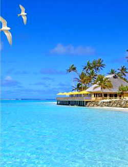   , ,        . Book online hotels, air tickets, charter and package tours to Pacific Ocean's islands!